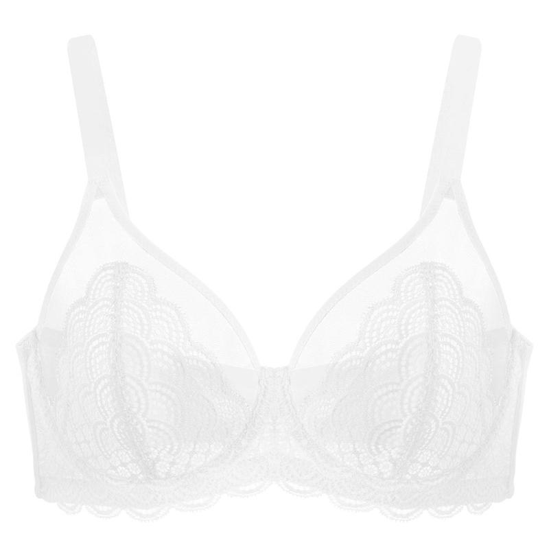Live HSIA Mermaid Scales Plus Size Lace Mesh Unlined Full Coverage Underwire Bra